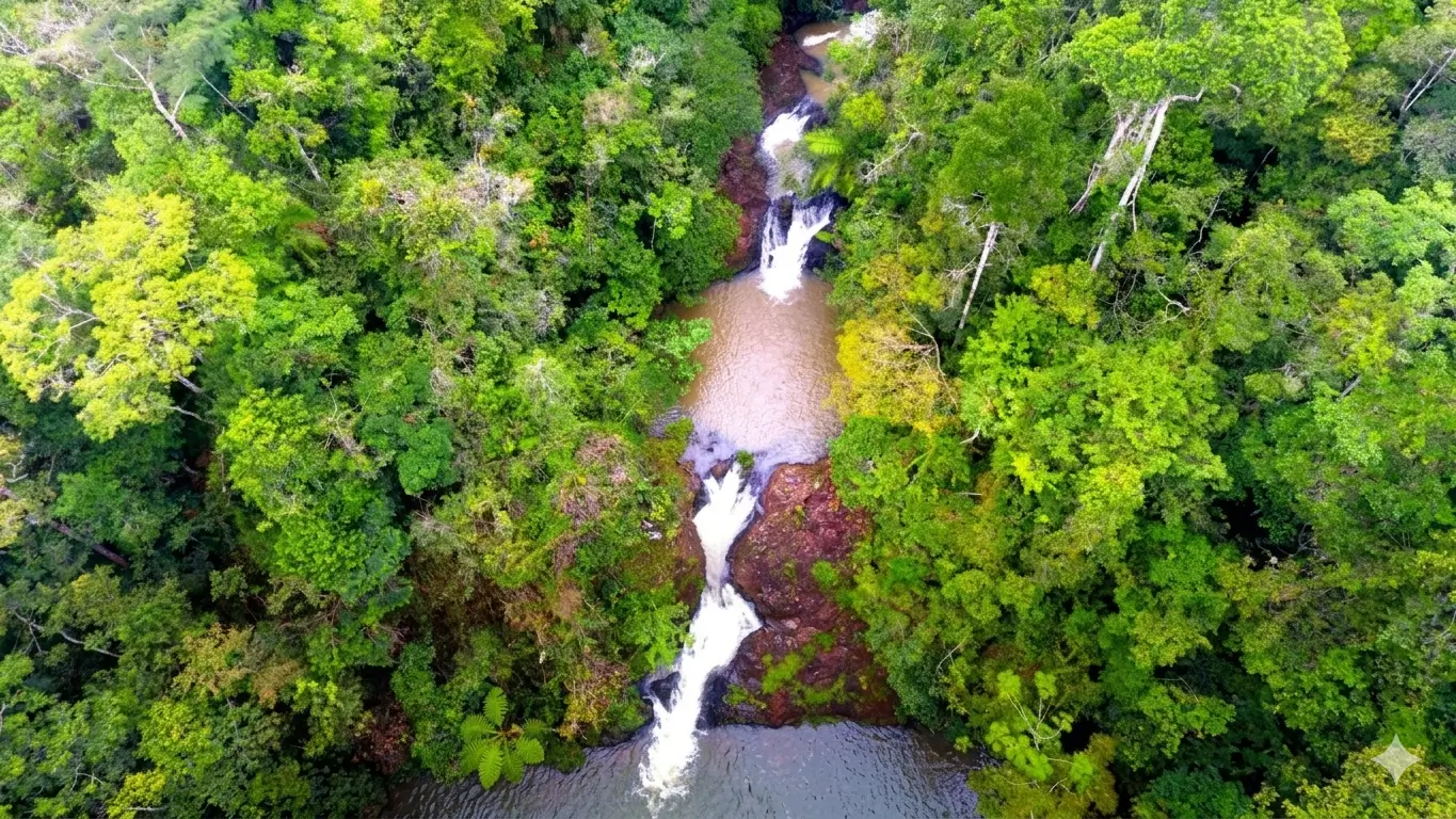 cinematic wide shot of misty Panama highlands with dense tropical rainforest at dawn with soft ethereal morning light